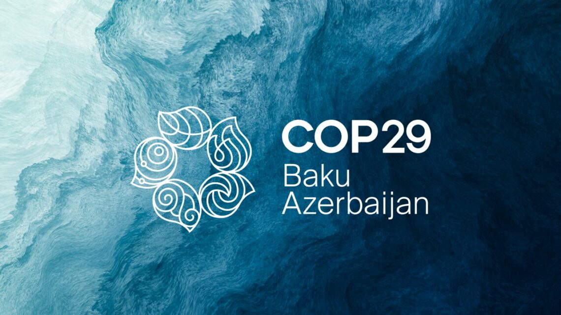 Ecologia COP29: cosa prevede la conferenza climatica?